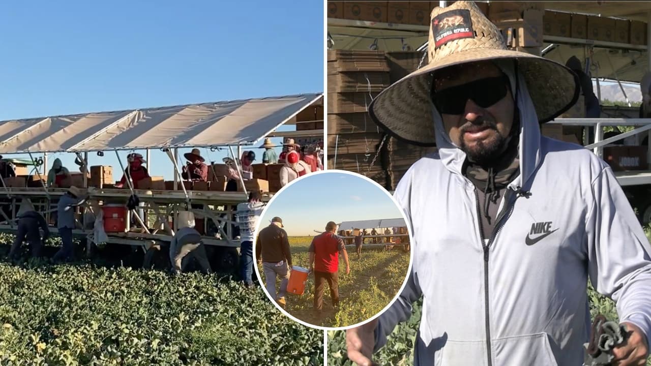 “Con el fin de traer el pan”: Así es como los trabajadores agrícolas trabajan bajo el calor extremo de California 