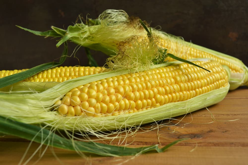 Los aztecas invocaban a la diosa del maíz, la fertilidad y la vegetación, Chicomecoatl, y se lanzaban granos de maíz al aire. De inmediato prestaban atención a la forma en cómo caía, para poder predecir el comienzo de una relación o su futuro.