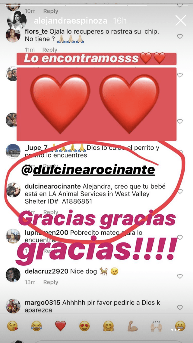 Con esta historia de Instagram, la exreina de Nuestra Belleza Latina le envió un mensaje de agradecimiento.