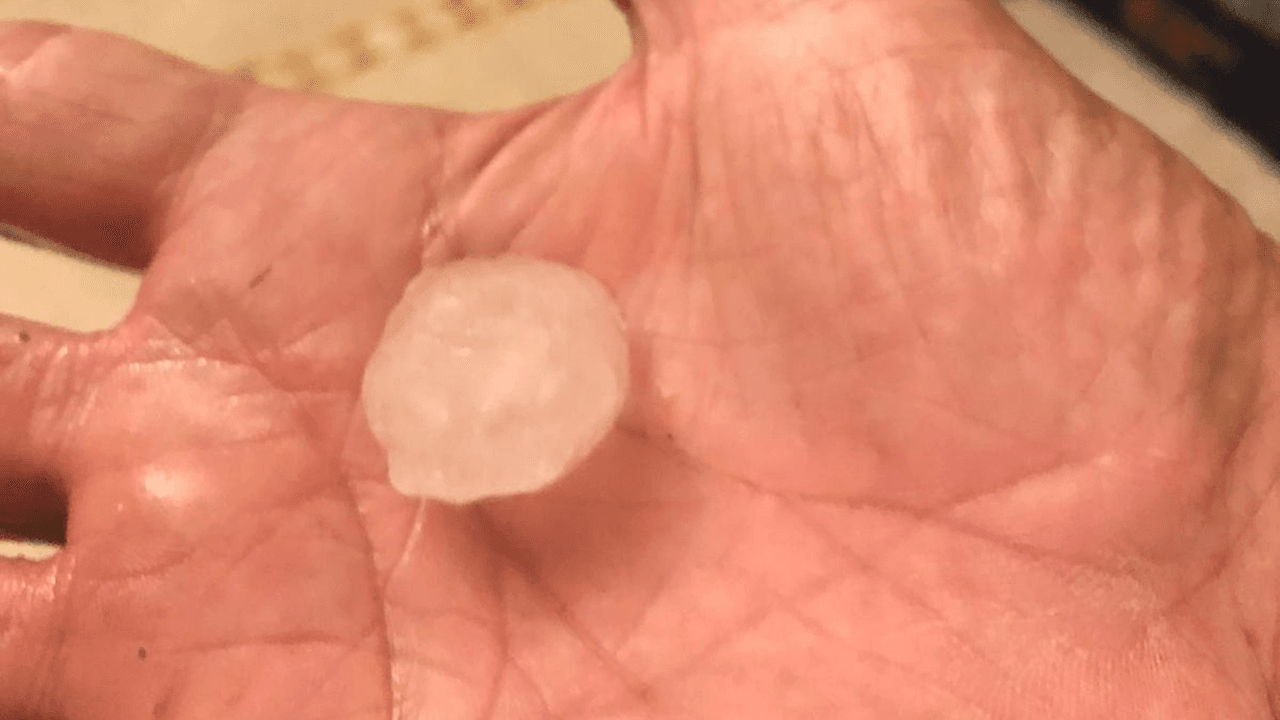 El Servicio Nacional de Meteorología advirtió a los residentes de estos sectores, en los condados de Zavala y Dimmit, sobre no salir ni dejar animales afuera porque podrían recibir lesiones.