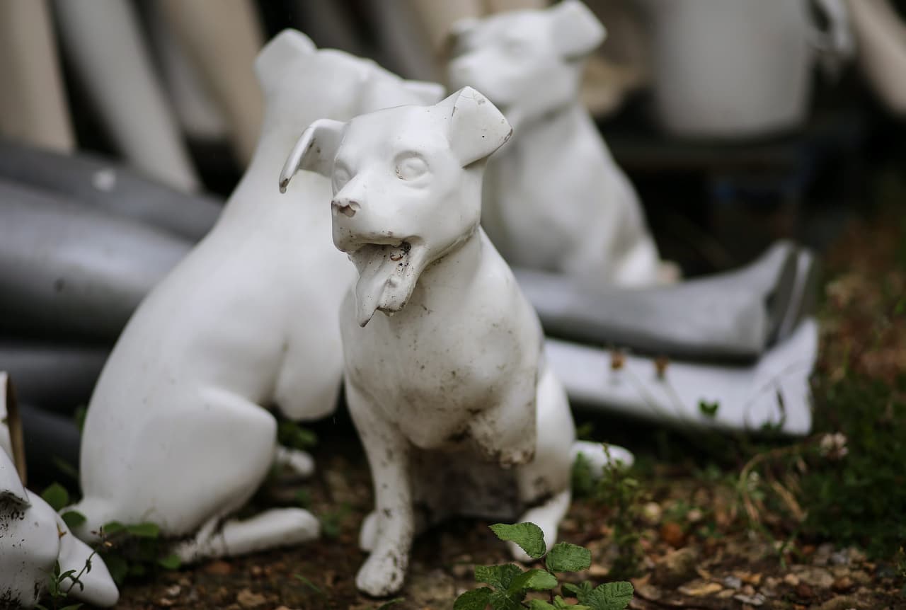 Los arregló, los puso en forma y comenzó a venderlos.