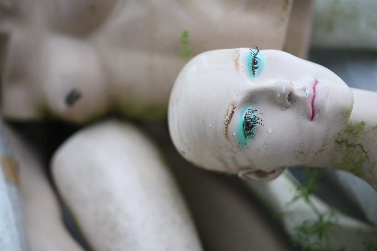 Ellos también tienen forma de mascotas, mujeres embarazadas y niños también.