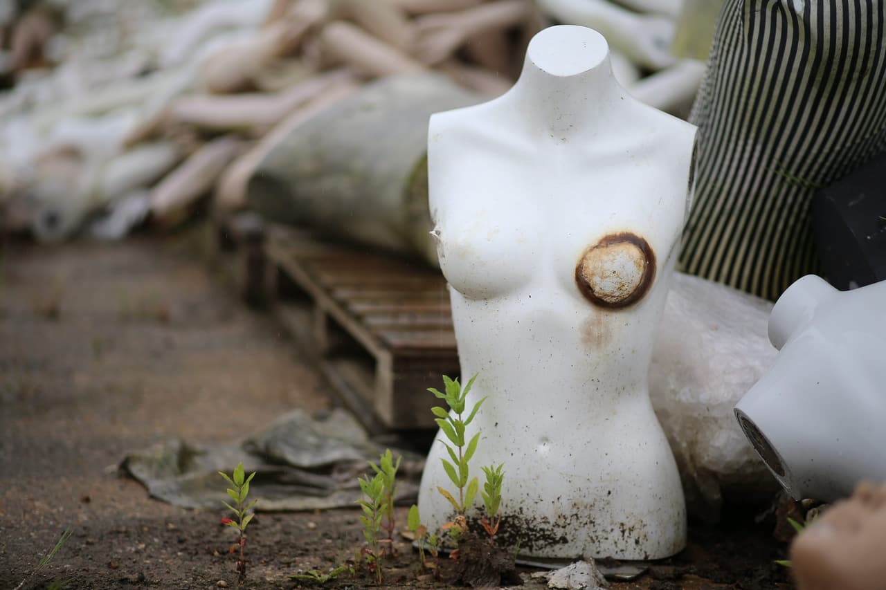 Pero entonces dio un giro a su vida y encontró una fuente de ingresos.