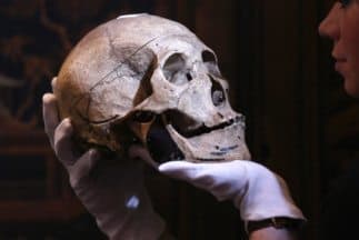 En una chimenea y con gafas de sol: hallan el cráneo de un hombre desaparecido desde el 2012