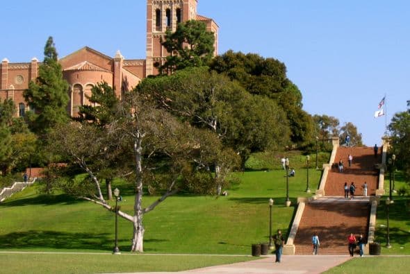 De escuela pública a Ivy League