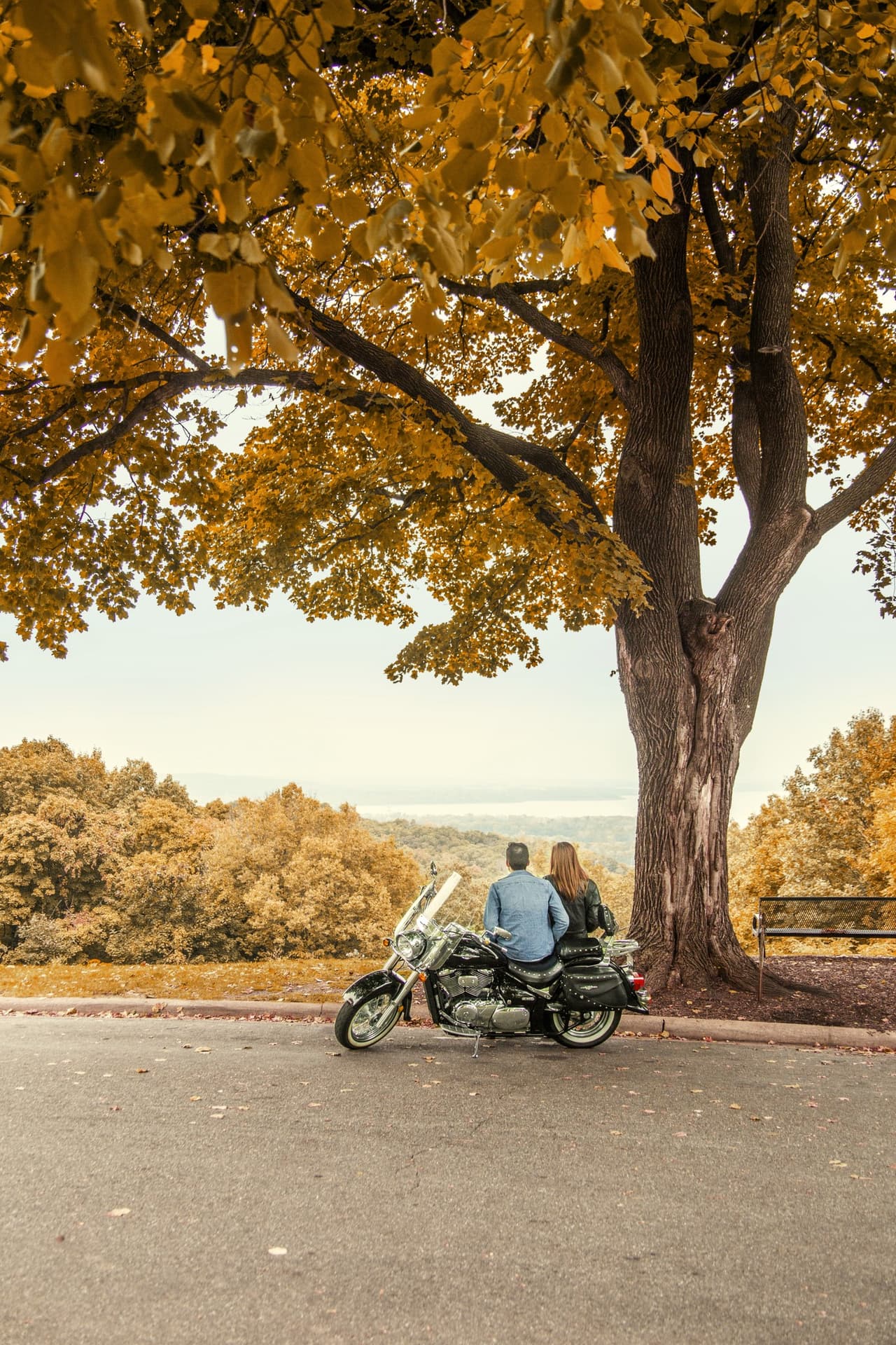 La 
<a href="https://www.enjoyillinois.com/" target="_blank">Guía de Viajes para los Colores del Otoño</a> incluye el Buscador de Colores del Otoño, un mapa estatal interactivo para la computadora y el teléfono celular que permite a los usuarios buscar colores otoñales por región con un período de tiempo específico a lo largo de toda la temporada.