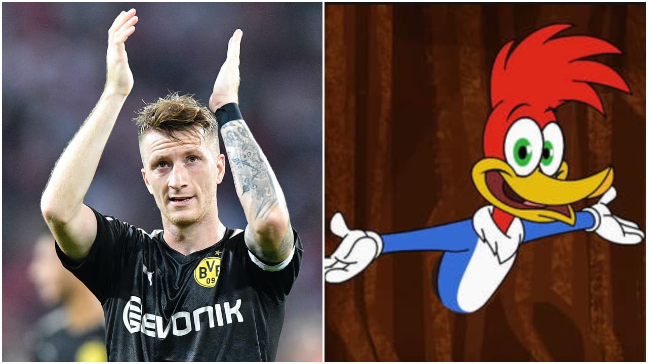 <b>Marco Reus y El Pájaro Loco</b>
<br>El cumpleañero, Marco Reus, fue apodado 'El pájaro loco' por el peinado, muy representativo tanto en el futbolista y el ingenioso personaje de la serie de televisión.