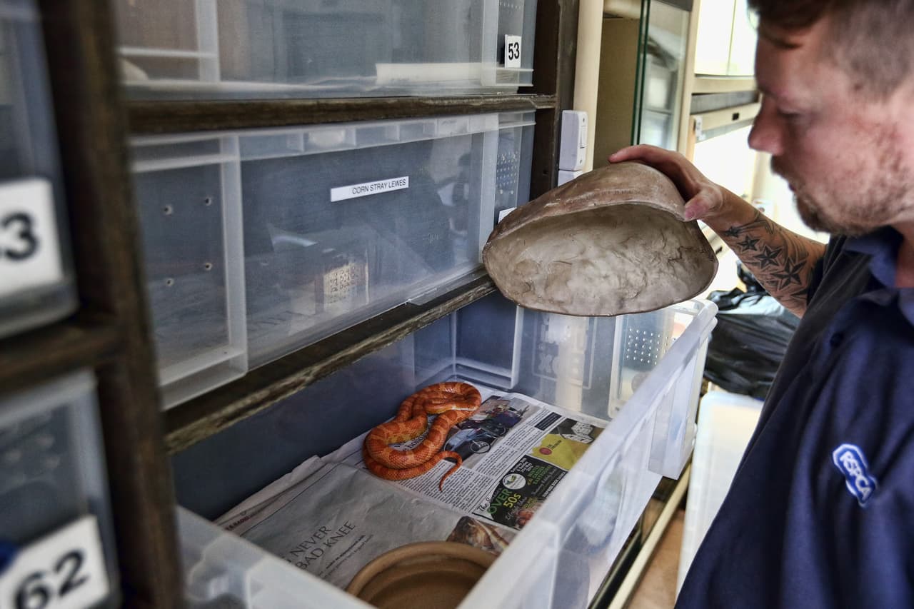 En este lugar, los animales sí están a salvo de verdad.