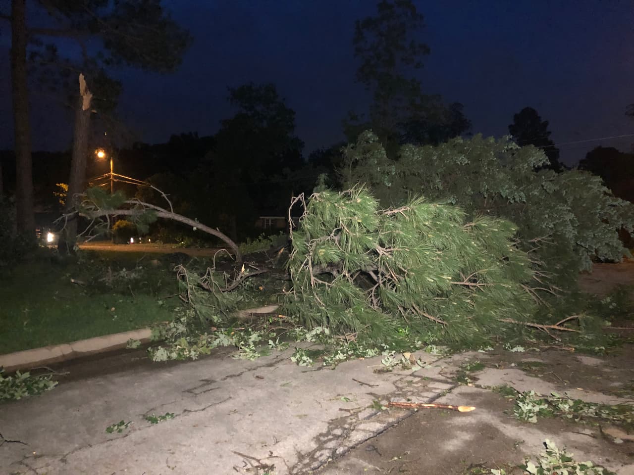 Muchos de los árboles que no resistieron el tornado quedaron en el medio de las carreteras.
