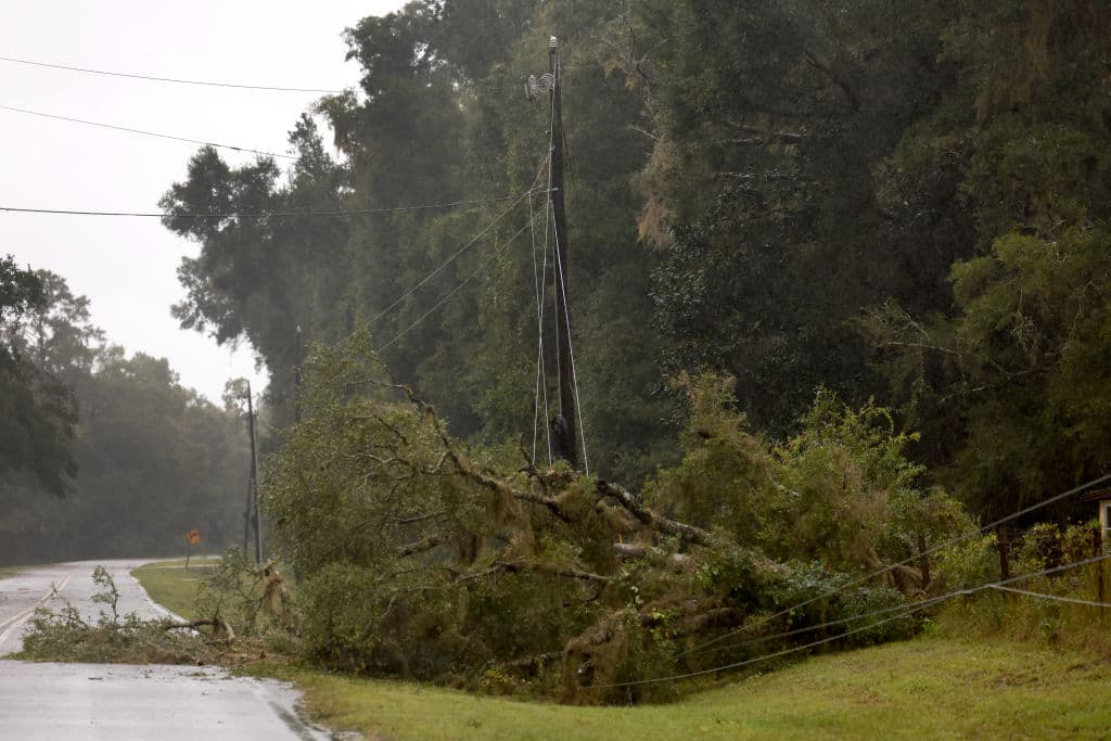 En la zona del Big Bend, la caída de árboles se mantiene como amenaza, afectando además el suministro de energía eléctrica, pues hay algunas líneas en el suelo.