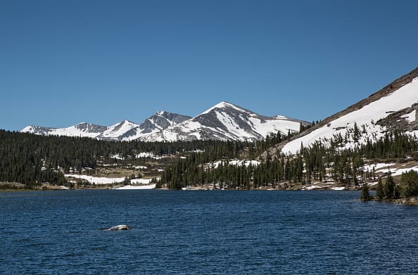 <b>El Parque Nacional de Yosemite ocupa el puesto número seis con un total de 4,009,436 visitantes en 2018. </b>Se ubica en la Sierra Nevada de California y es famoso por sus árboles con secuoyas gigantes. Asimismo, se puede disfrutar de sus cascadas, valles profundos, prados, una selva extensa y mucho más, dentro de sus casi 1,200 millas cuadradas.