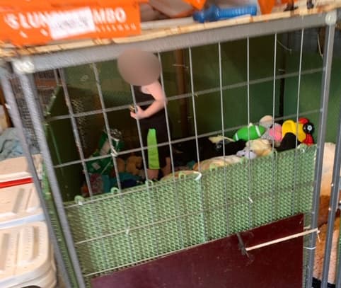Encuentran a un niño de menos de 2 años encerrado en una jaula llena de cucarachas, heces y orina y rodeado de animales peligrosos