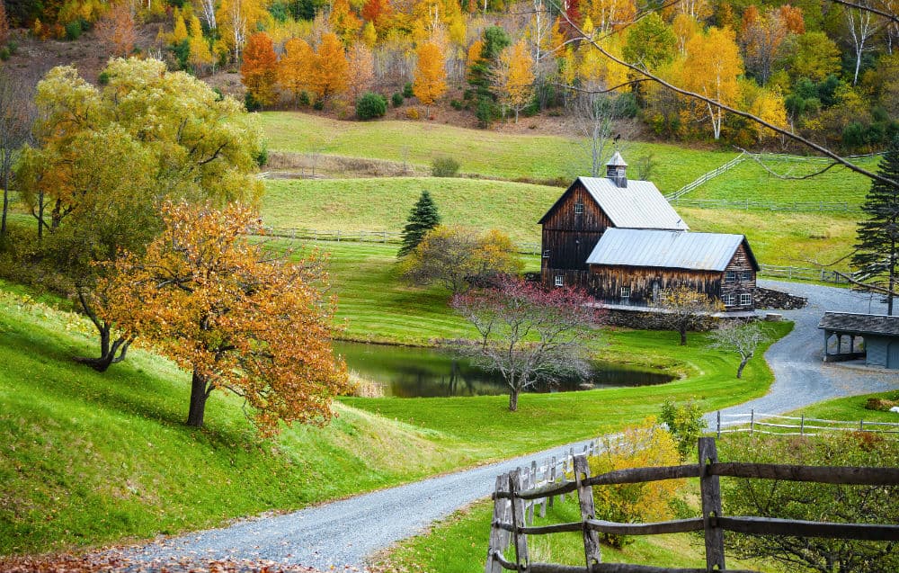 VERMONT es, según Wallet Hub, el estado más seguro. Vermont tiene el mejor ranking en cuanto a la seguridad en el hogar y la comunidad y también tiene altos niveles de seguridad en las carreteras.