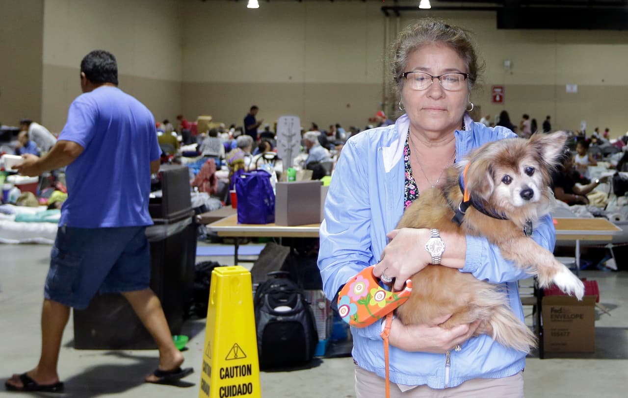 Lilliam Garay sostiene a su mascota Michael antes de llevarlo a dar un paseo en el albergue del Miami-Dade County Fair and Exhibition at Tamiami Park, que acepta animales.