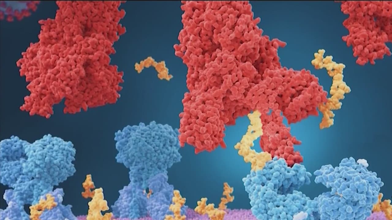 Detectan casos de subvariante ómicron BA.2 en pacientes con covid-19 de Fairfax