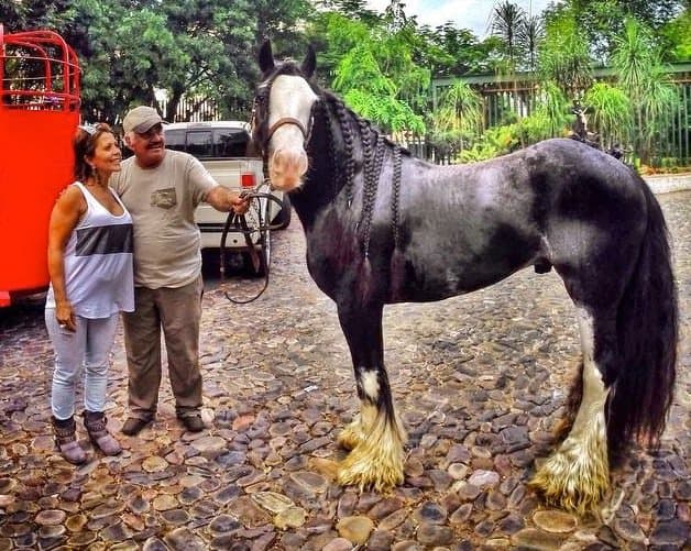 Otra visita inolvidable, fue la que le hizo Alejandra Guzmán, 'la nuera soñada' del cantante. Es tanto el cariño que se tienen, que él la considera como su hija y hasta le regaló, hace unos años, tres caballitos miniatura.