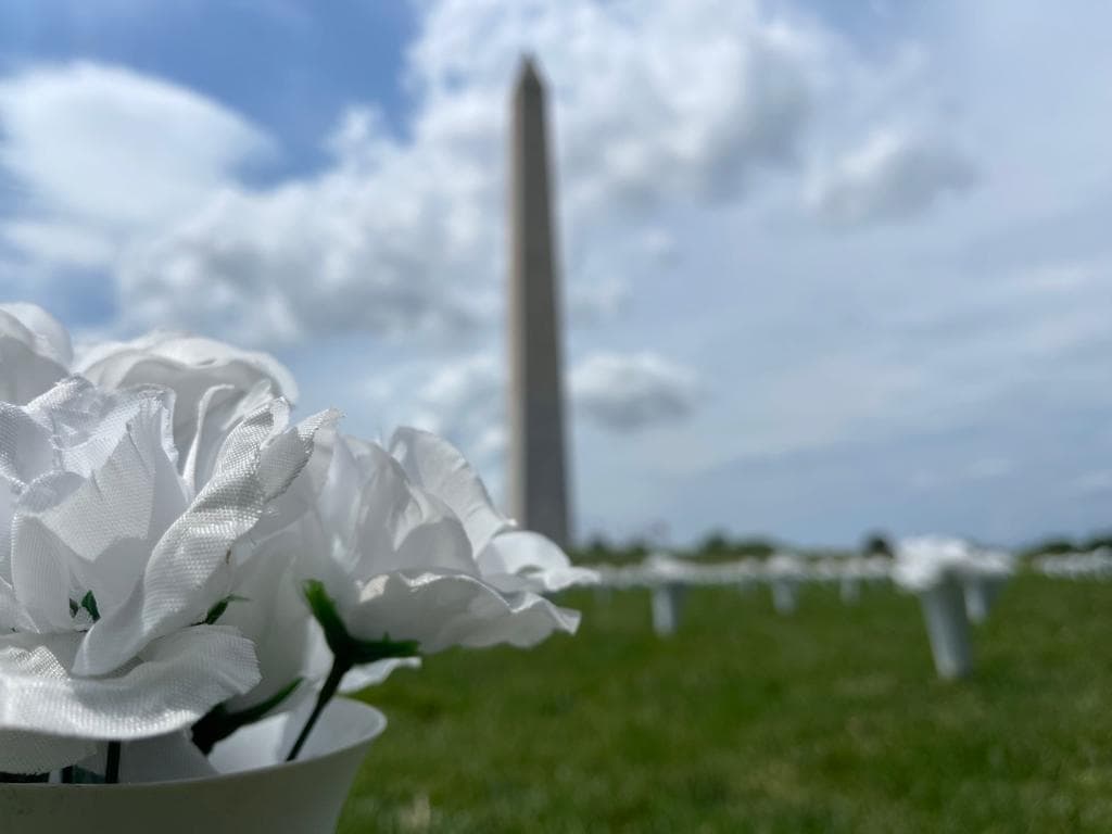 Precisamente para el 11 de junio está prevista una marcha masiva contra la violencia armada en Washington, DC.