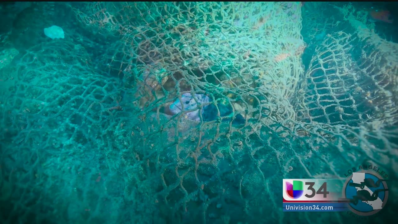 Pescadores fantasma, amenaza para los buzos y fauna marina