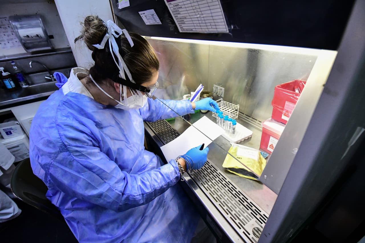 Nuevamente más de 500 casos de coronavirus en Florida: el total en el estado llega a 38,002