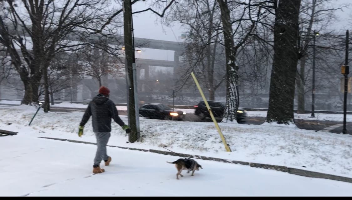 Los residentes deben comunicarse con la línea directa de ACCT Philly ( 
<b>267-385-3800 ext 1</b>) si observan a un perro afuera durante un frío extremo (además de los descansos para ir al baño y las caminatas cortas). Es contra la ordenanza de la Ciudad dejar perros afuera en condiciones de frío extremo sin un refugio adecuado, y los dueños pueden ser multados con hasta $ 500.