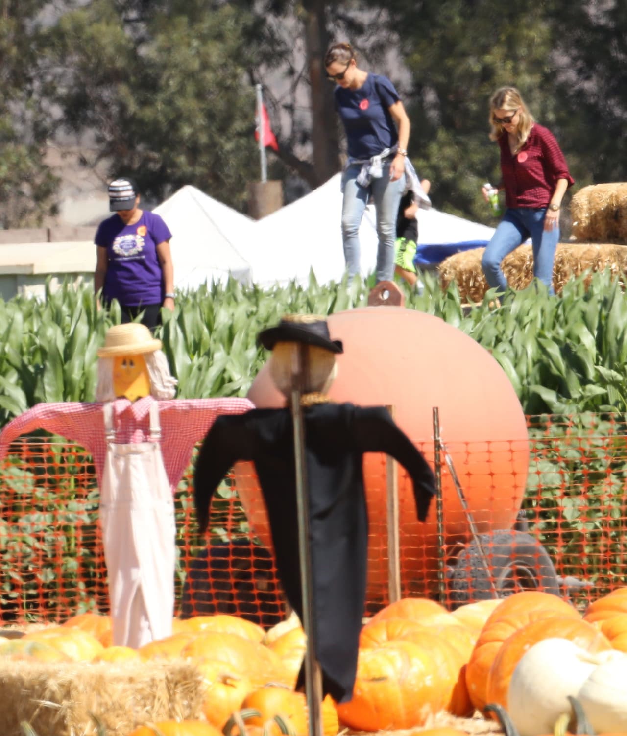 Queremos ver cómo Jen decora su casa con calabazas.