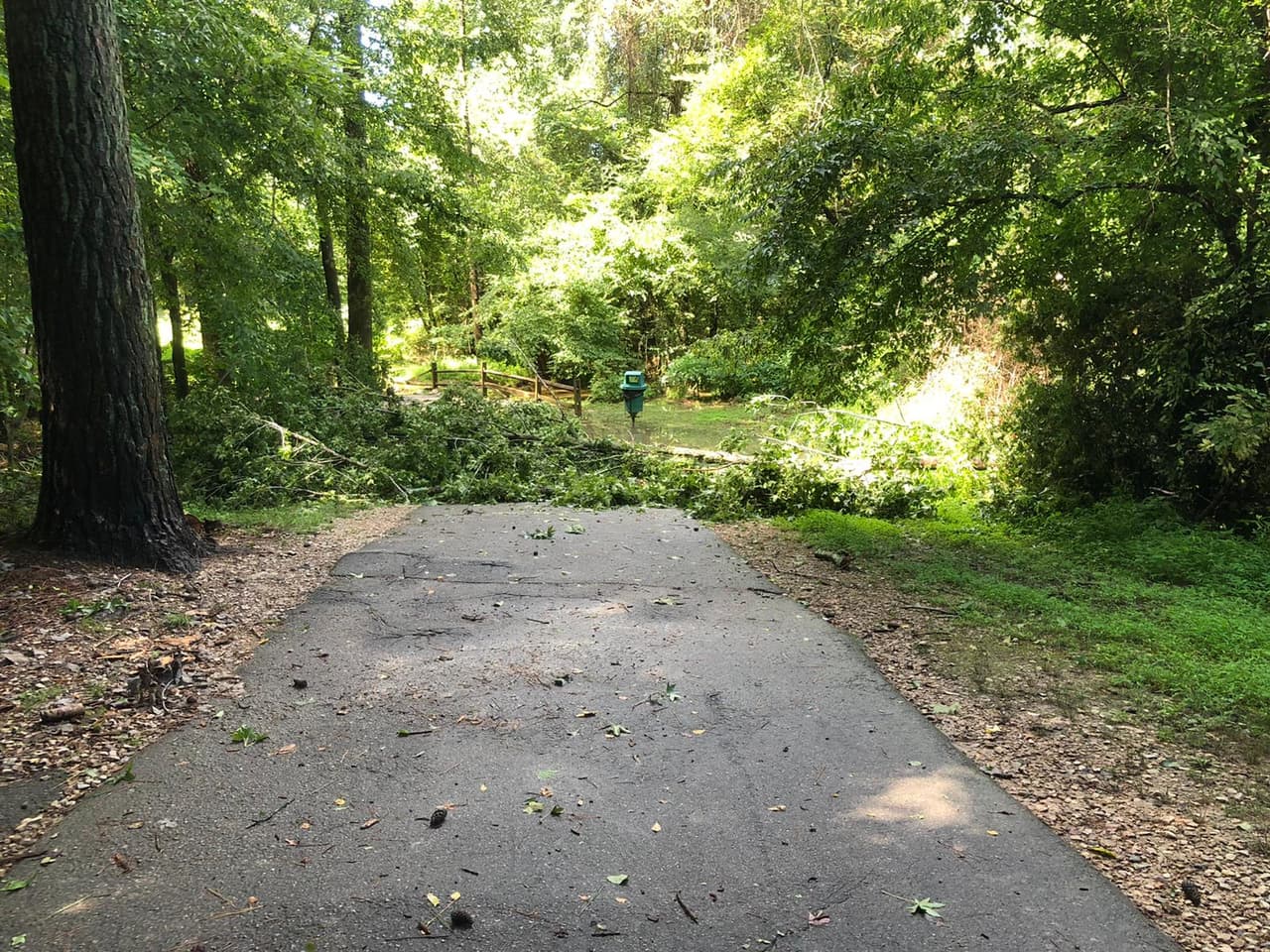 Las inundaciones cubrieron banquillos, contenedores de basura y caminerías del lugar.