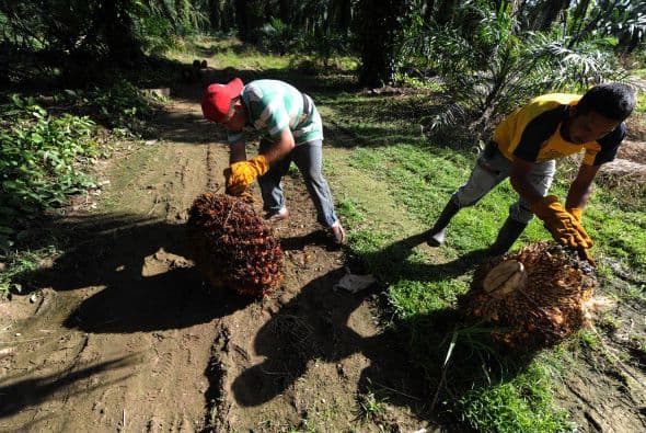8. HONDURAS, con 34.6%.