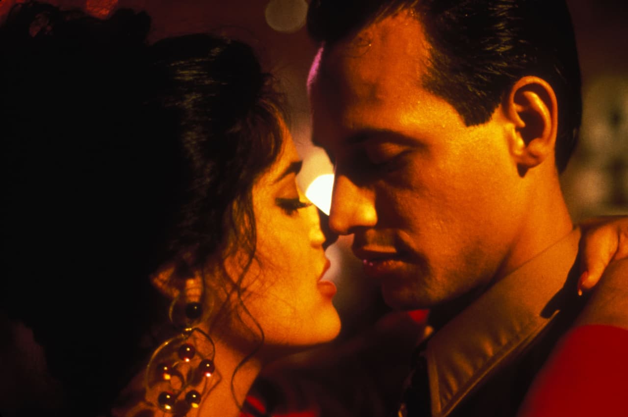 Su primer papel en la televisión de Estados Unidos fue en 'The Sinbad show' (1993), ese mismo año actuó en su primera película estadounidense: 'Mi vida loca', en la que también actuaron Danny Trejo y Spike Jonze.