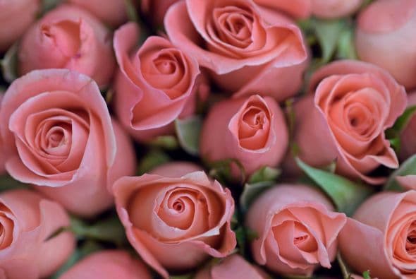 Si le quieres dar un regalo especial a tu pareja, no tienes que gastar un dineral en una joya, ramos de rosas o en un Ipad. Haz un video de todos los momento especiales que han compartido juntos o escribe una lista de las cosas que te hicieron enamorarte de él (ella).