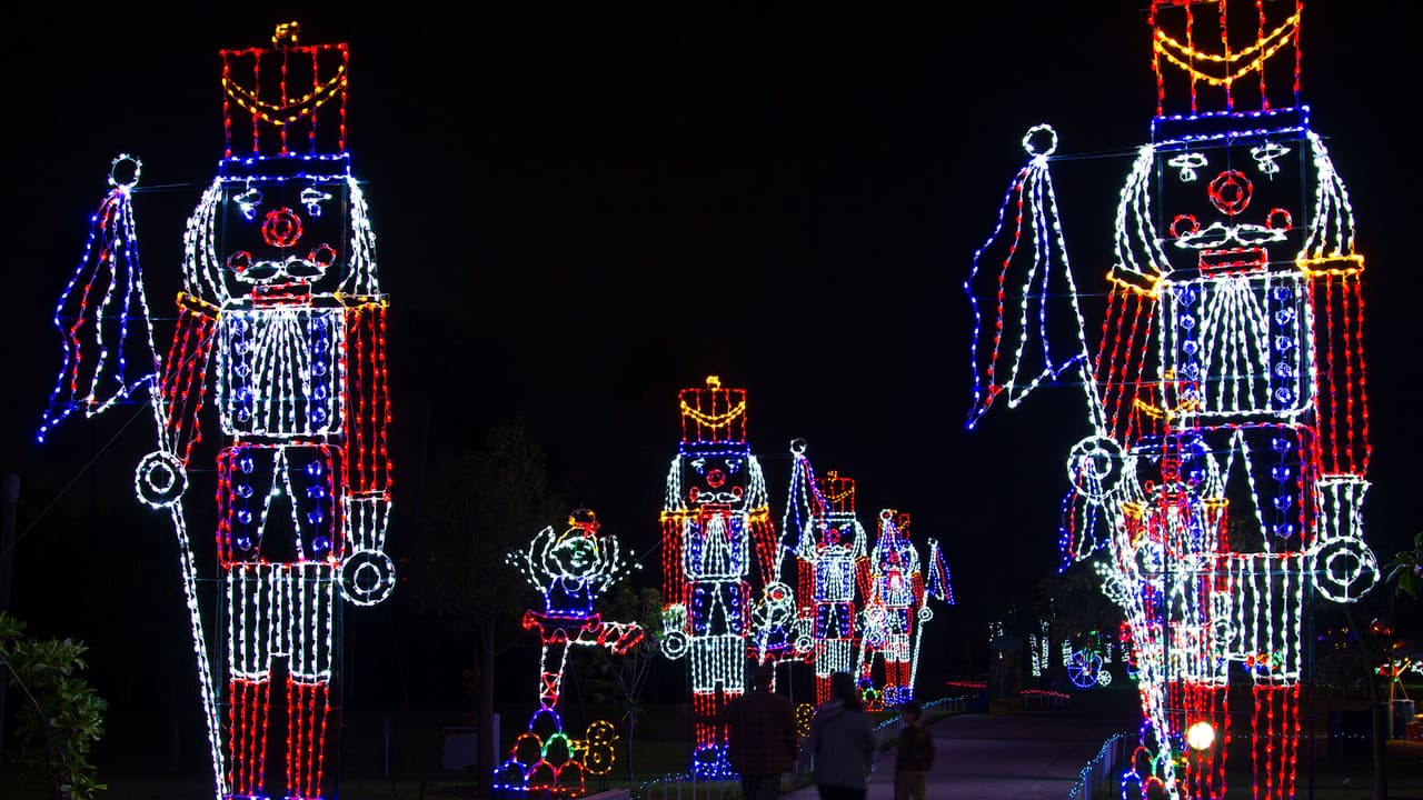 Los jueves es día de recolección de alimentos por lo que puedes llevar comida para regalar a los necesitados en esta temporada navideña y al mismo tiempo recibes una entrada dos por uno al 
<a href="https://www.univision.com/local/houston-kxln/mira-las-fotos-de-la-muestra-de-esculturas-navidenas-talladas-en-hielo-del-moody-gardens-fotos">Festival de Luces</a> durante el mes de diciembre.