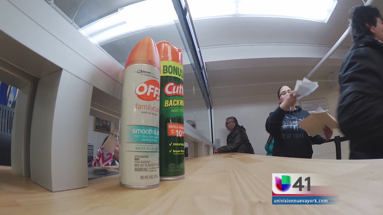 Consulado neoyorquino se dedica a combatir el Zika