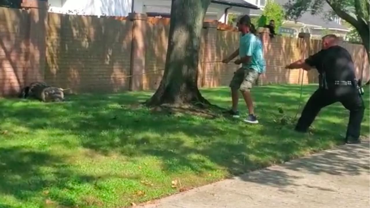 Los vecinos llamaron a la policía alrededor de las 8:00 de la mañana, luego de ver al animal a un lado de la calle.