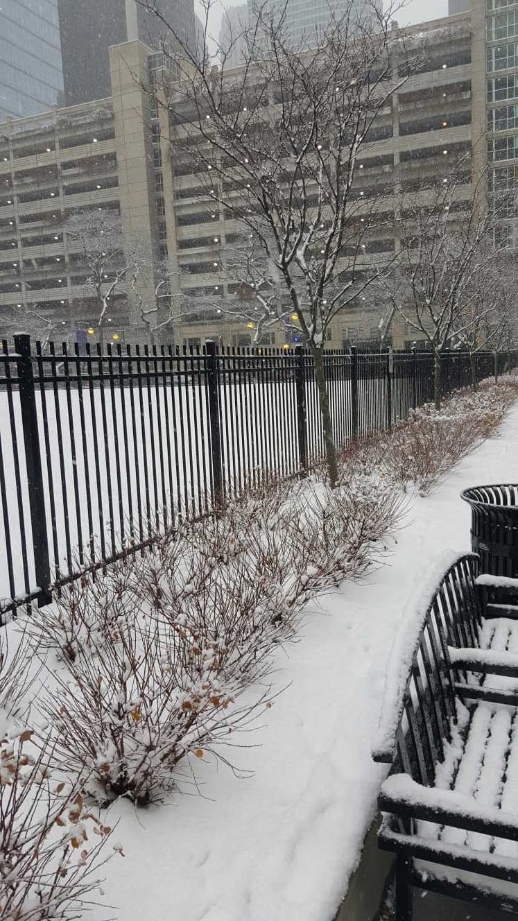 Este domingo ya se habían cancelado más de 1,300 vuelos: 1,204 del aeropuerto de O’Hare y 164 de Midway.
