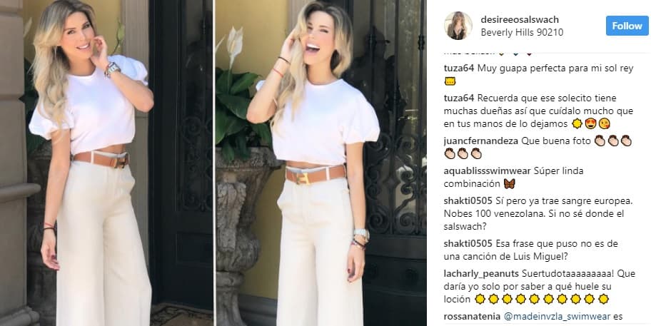 Hasta los fans de Luis Miguel se han expresado sobre el comentado noviazgo. Como una usuaria de Instagram que escribió "recuerda que ese solecito tiene muchas dueñas".