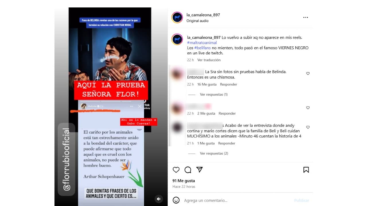 La supuesta prueba en la que Belinda se refiere al maltrato animal.