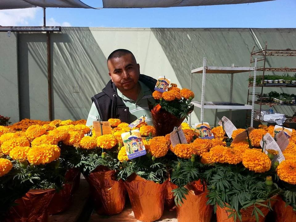 Su negocio produce más de $5 millones al año, pero ICE le dio 90 días para que se regrese a México