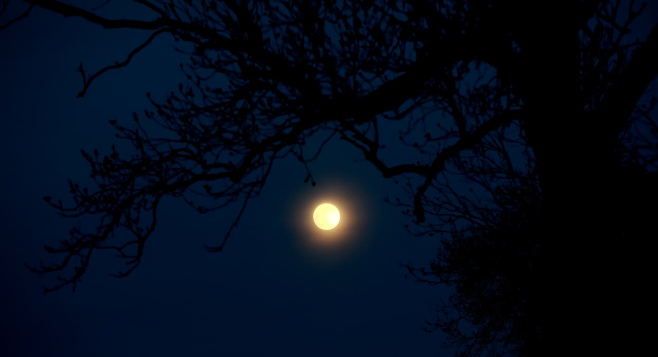 <b>Enchanted Rock State Natural Area</b> 
<br>Tiene una clasificación 3 en la escala Bortle. En noches despejadas y sin luna llena podrás observar la vía láctea.