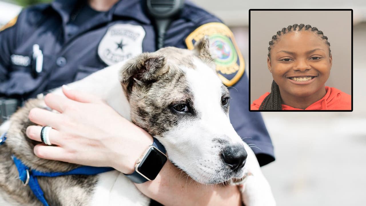 Acusan a mujer de crueldad animal tras hacerse viral un video donde golpeaban y pateaban a un perro