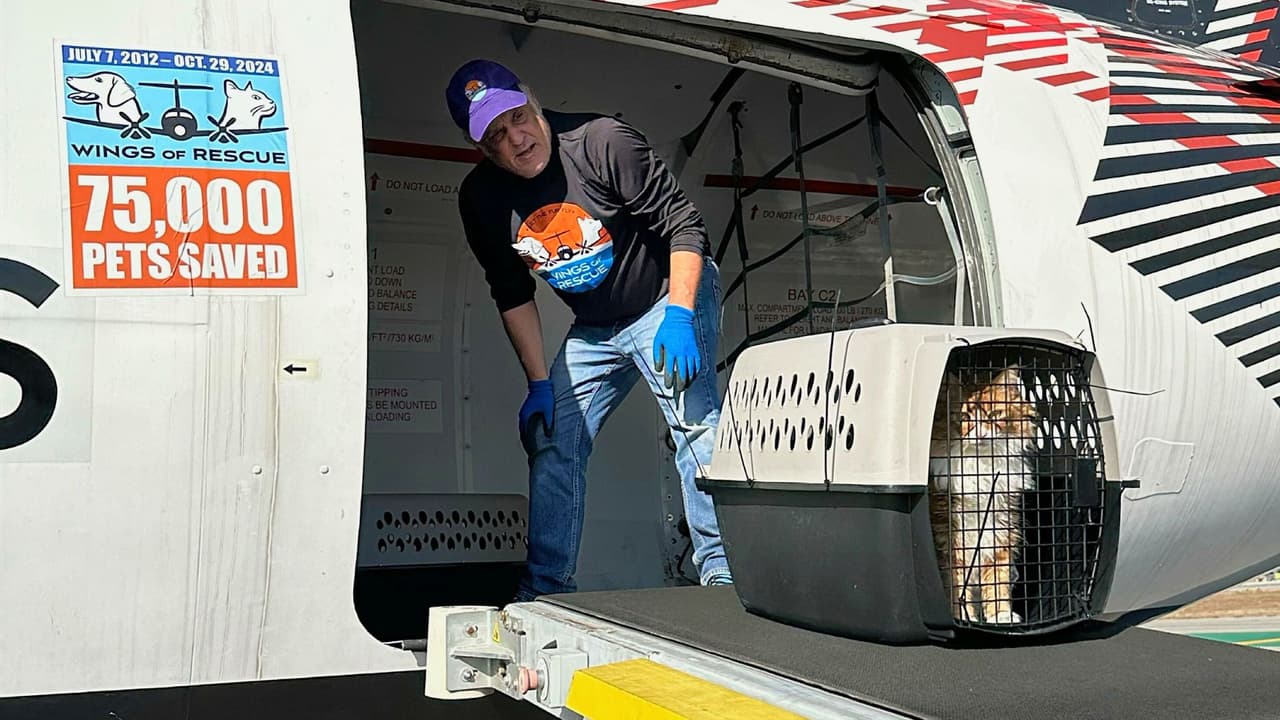 <b>🚨 Un rescate que da esperanza: </b>El domingo 19 de enero, dos aviones de Wings of Rescue aterrizarán en el Aeropuerto de Fort Worth. Estos animales, que han estado esperando mucho tiempo por un hogar, finalmente tendrán la oportunidad de ser adoptados y 
<b>empezar una nueva vida lejos del peligro de las llamas </b>🐾