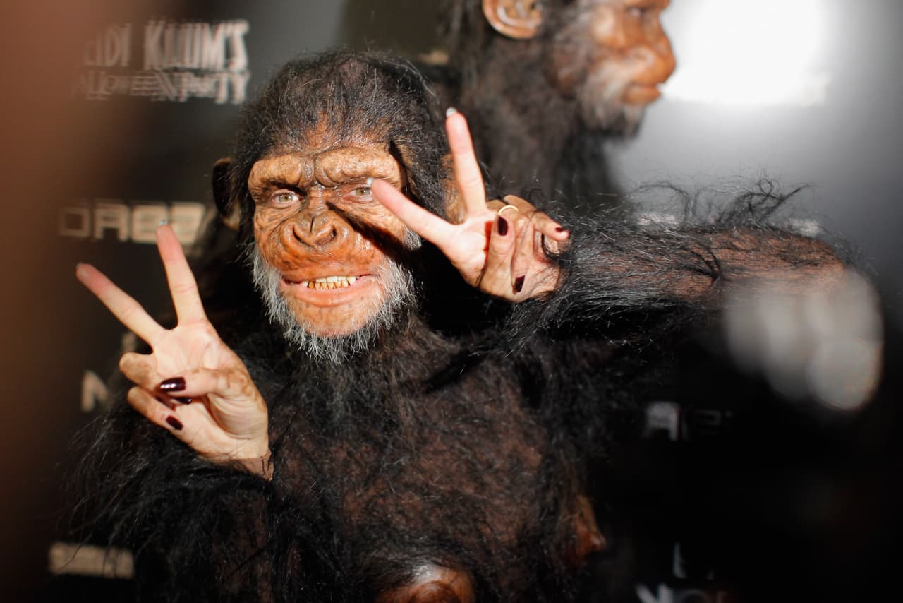 Solo sus manos, de perfecto manicure, delataban el cuerpo que habitaba detrás del disfraz.