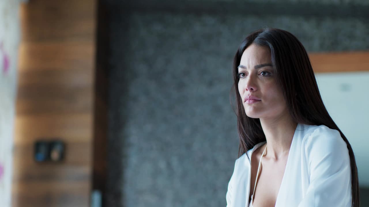 Con el corazón roto tras la muerte de Asya, Miguel regresó a su país natal ante un llamado de emergencia que lo llevaría a tomar el control de los negocios familiares. Lo que no imaginaba era que en México encontraría a varias mujeres que lucharían por convertirse en el amor de su vida.