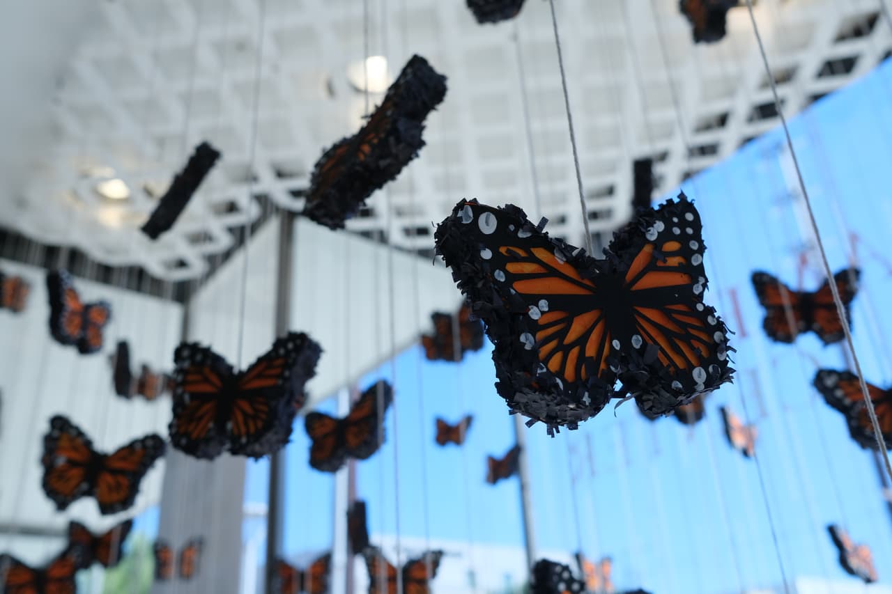 "Los piñateros hacen piñatas en respuesta a lo que está sucediendo en la cultura en un momento dado. El programa incluye, por ejemplo, un par de piñatas que tratan sobre el covid. Tenemos un coronavirus, una piñata real que tiene la forma del virus. Tenemos una piñata de vacuna, así que creo que es increíblemente interesante que se use para hablar de lo que está pasando”.