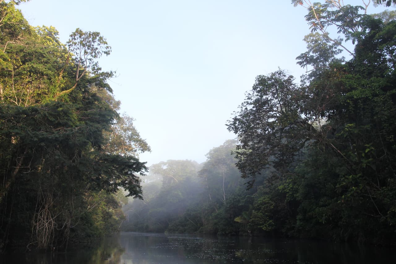 La Amazonia es el bosque tropical más extenso del mundo, considerado el pulmón del Planeta. Cubre varios países de Sudamérica. Esta foto fue tomada en Ecuador.
