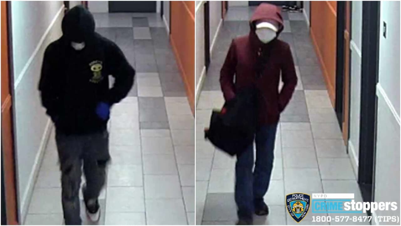 Roban 6 cachorros de un apartamento en el Bronx; la Policía busca a 2 sospechosos