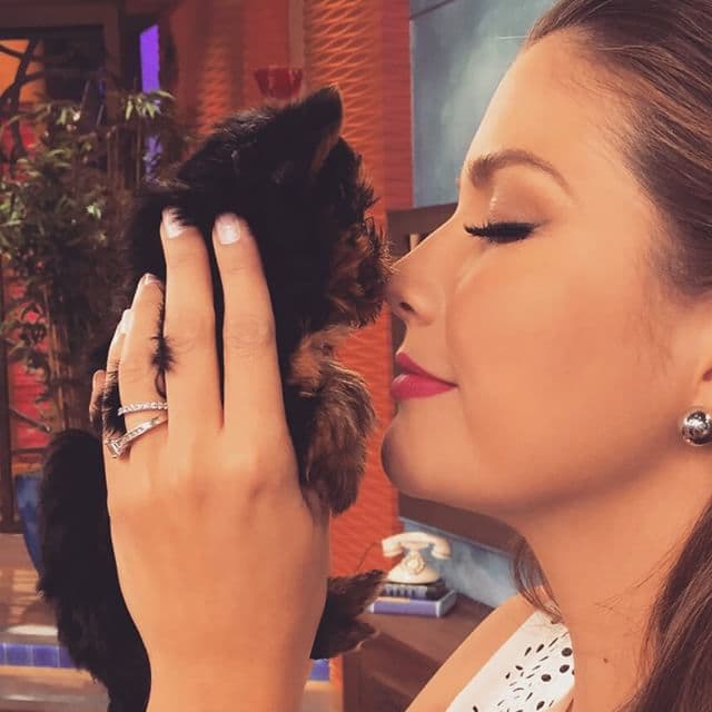 Conociendo a la mascota de Willy.