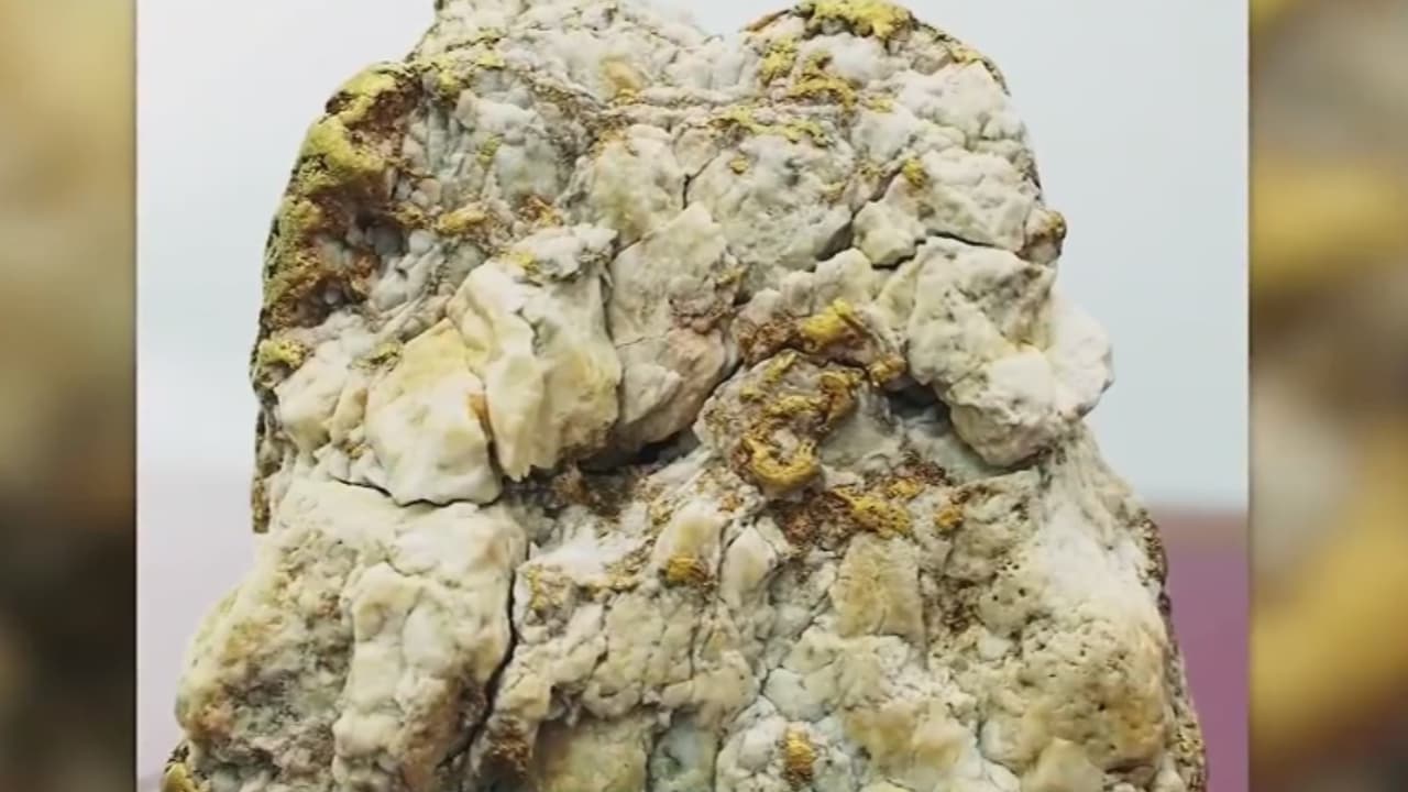 El afortunado, un buscador de oro aficionado, encontró la roca valorada en miles de dólares en el estado de Victoria, en una zona conocida como “Triángulo de oro”. La persona que valoró el objeto, de 5 kilos y catalogado como “Pepita de la Suerte”, señaló que este es un hallazgo único en la vida. 
<b><a target="_blank" href="https://vix.com/es-es/canales/channel-callsign-frequancy-news-24-7?utm_medium=internal_referral&utm_source=univision&utm_campaign=evergreen&utm_content=ed_news&utm_term=video">Puedes ver en ViX más noticias gratis</a></b>.