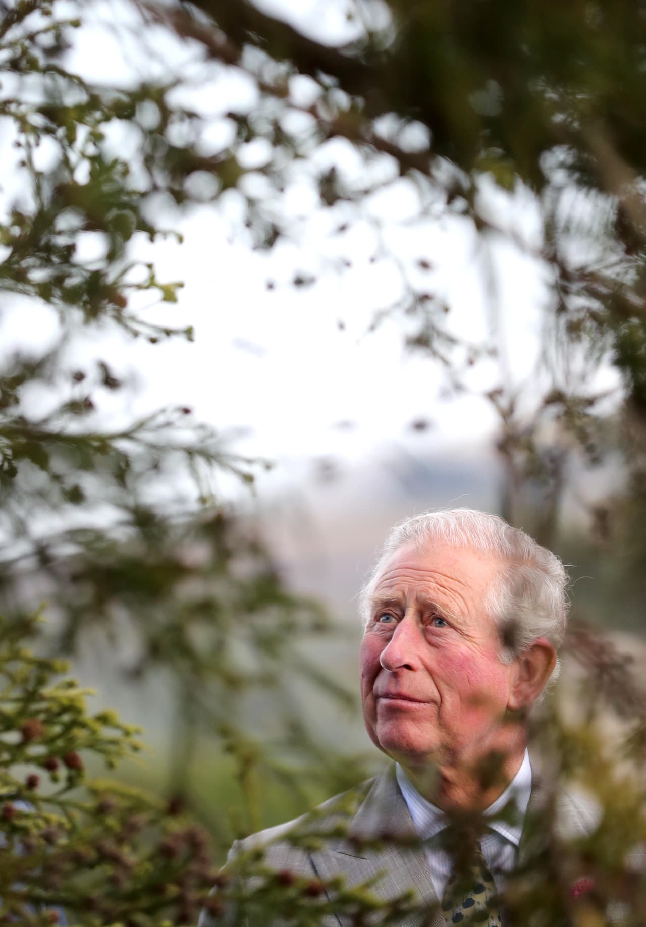 En una entrevista que ofreció para el diario británico 
<b><a href="https://www.telegraph.co.uk/royal-family/0/prince-charles-exclusive-interview-had-no-idea-children-had/" target="_blank">The Telegraph</a></b> en junio pasado, habló cómo se despertó este gusto desde los días en que pasaba tiempo en Sandringham, la casa de descanso de la familia real.
<br>
