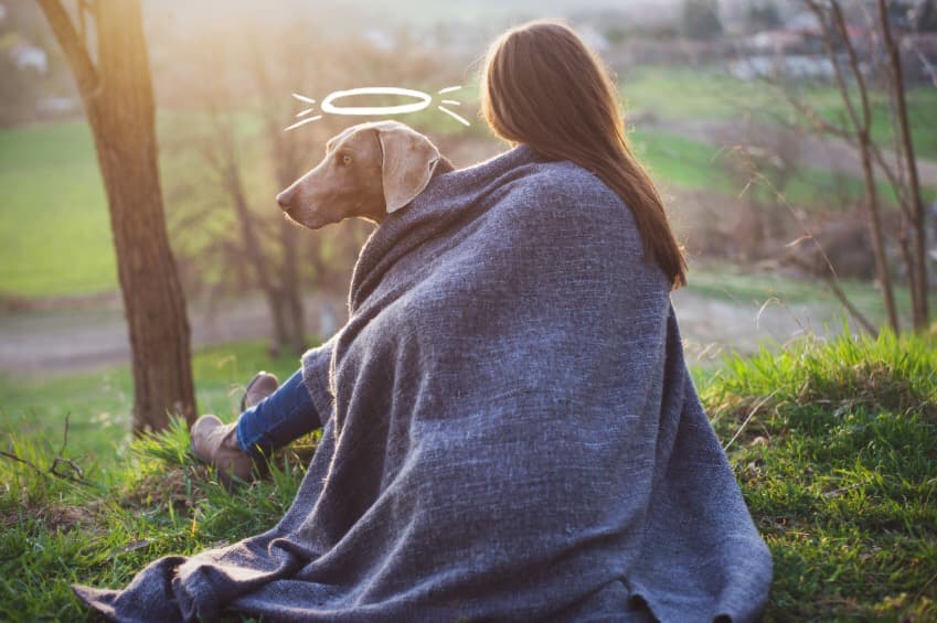 ¿Mi mascota o mi pareja?