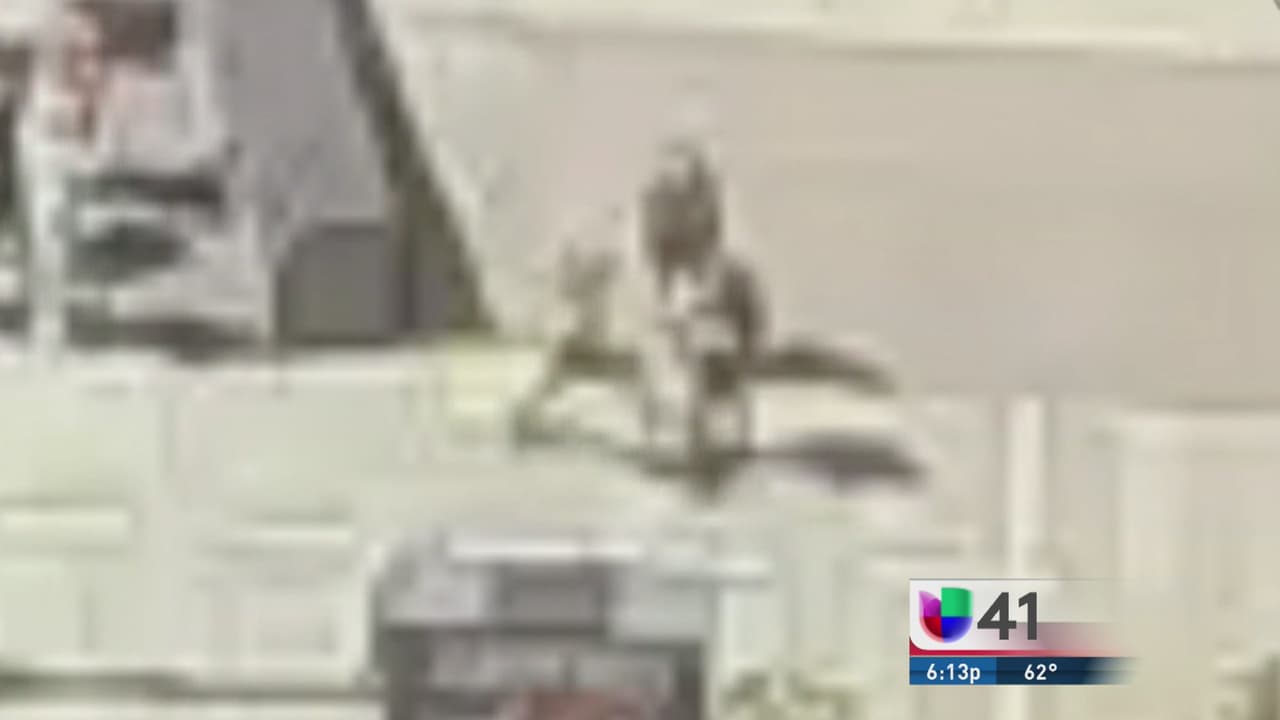 Turista buscó un abrazo en Times Square y recibió un puño que le cerró el ojo