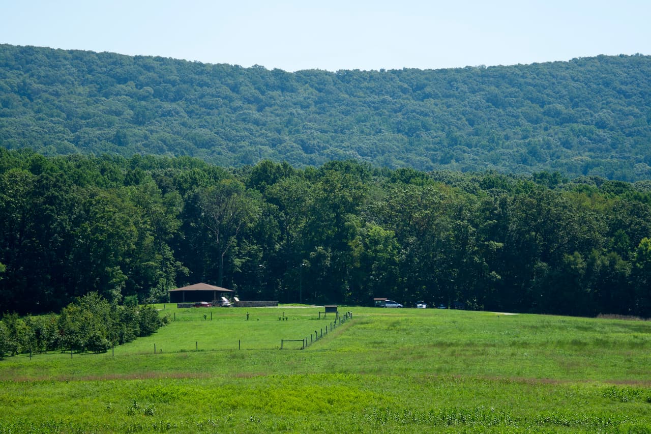Este bosque antiguo en Pensilvania ha sido agregado a la red nacional